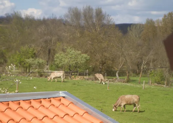 Feriegård A Casa De